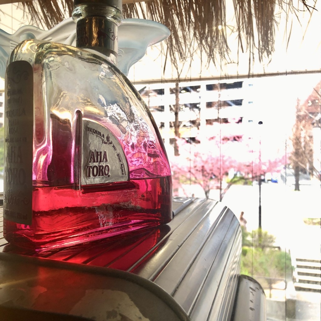 お知らせ｜関内 BAR AMAZON CLUB アマゾンクラブ